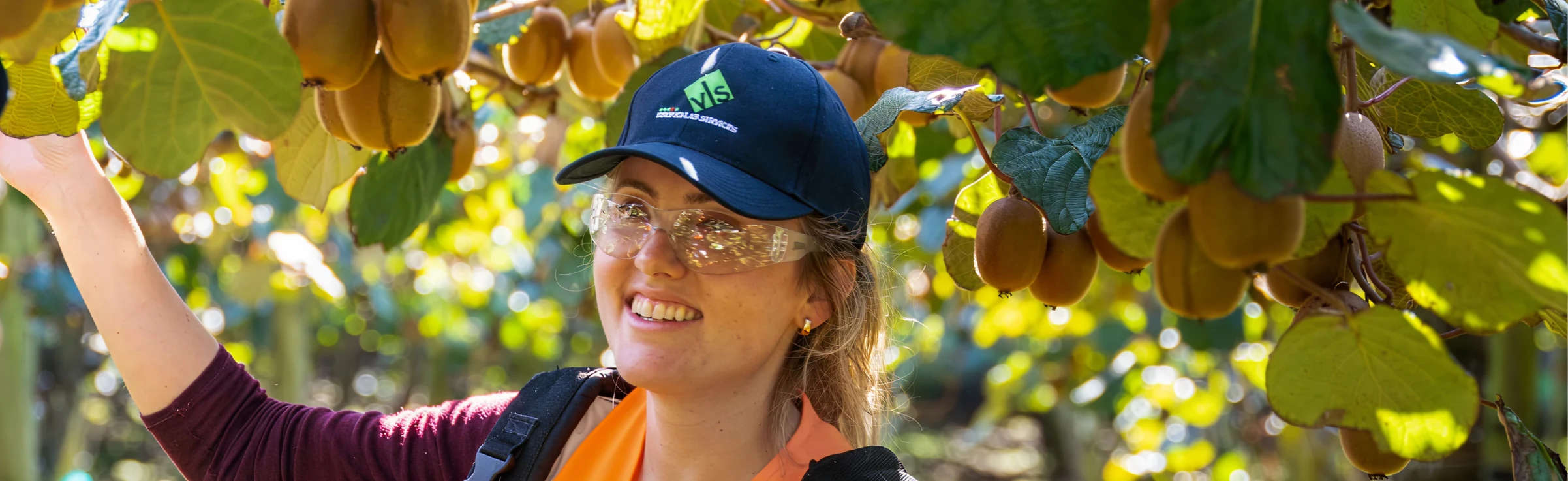 Your pest monitoring, maturity and ethylene testing experts
